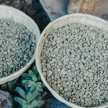 Chaco: Single Origin Coffee (1lb.)